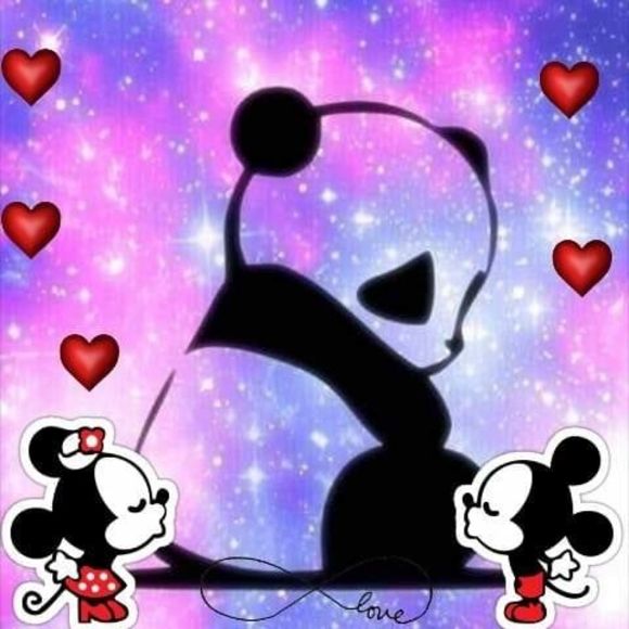 Meet your Posher, Ashy - Picture 1 of 1